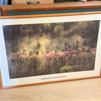 Sale Photo Thumbnail #14