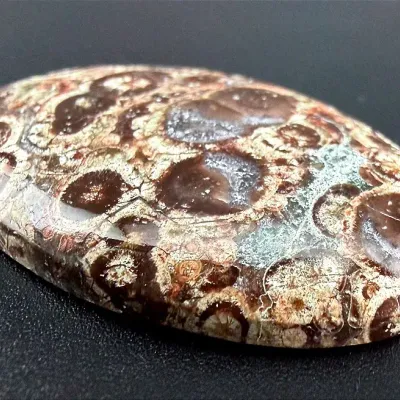 38.0 Ct Birds Eye Ryholite Cabochon 