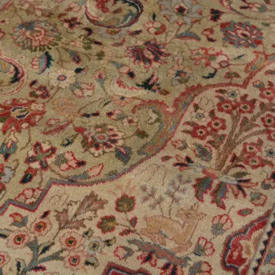 Ivory floral rug featuring flowing botanical motifs in soft rust, green, blue, gold, and muted red tones.