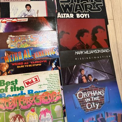 40+ Vintage Vinyl Record Album Lot