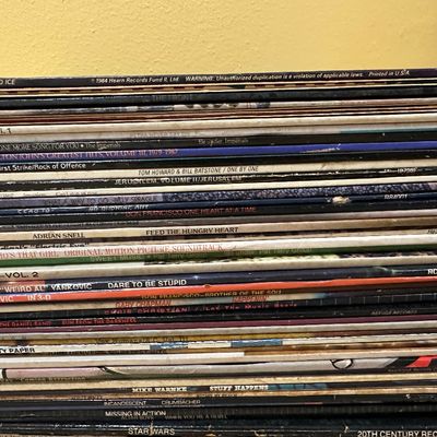 40+ Vintage Vinyl Record Album Lot