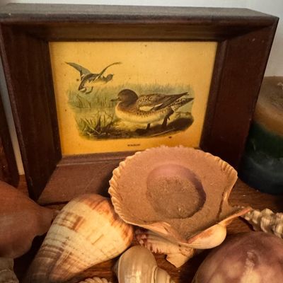 Sale Photo Thumbnail #78