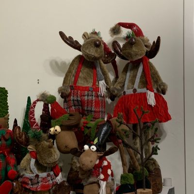 Sale Photo Thumbnail #244
