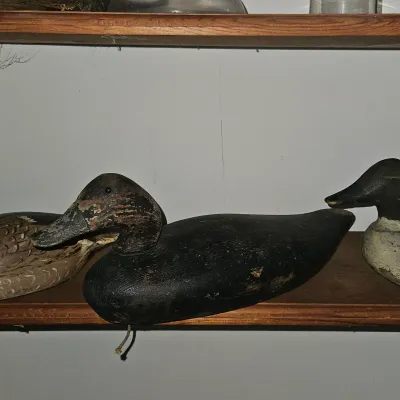Sale Photo Thumbnail #86: Wood Duck Decoys