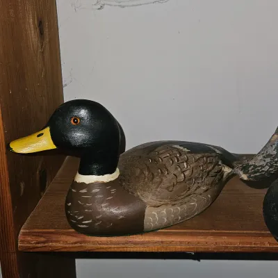 Sale Photo Thumbnail #85: Wood Duck Decoys