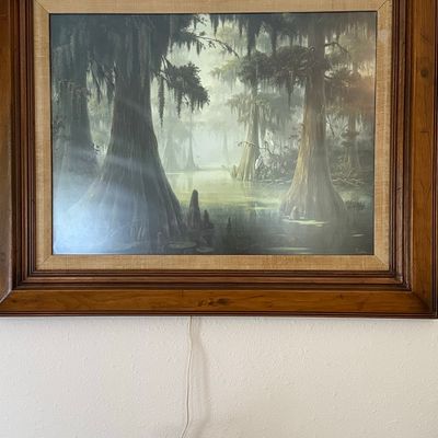 Dalhart Windberg "Cypress Mist" Illuminated Wall Art