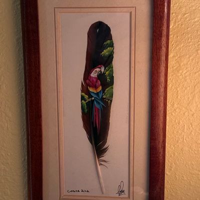 Costa Rican Hand-Painted Macaw Feather Art by Elizabeth T.