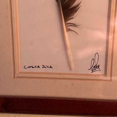 Costa Rican Hand-Painted Macaw Feather Art by Elizabeth T.