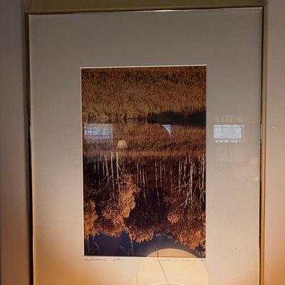 Paula Crane Signed Limited Edition Etching 'Reflections Series'