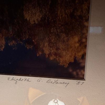 Paula Crane Signed Limited Edition Etching 'Reflections Series'