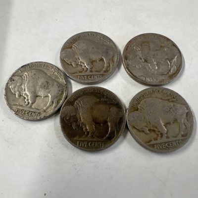 Collection of Five Buffalo Nickel Coins (233)
