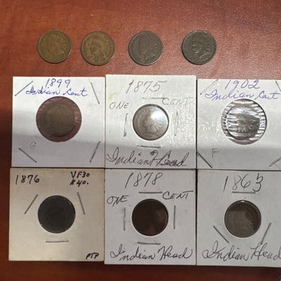 Collection of Six Indian Head Cents