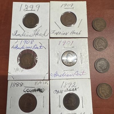 Collection of Indian Head Cents