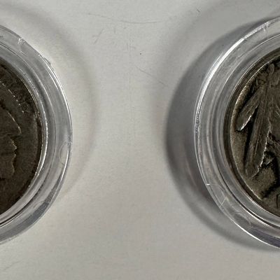Two USA Buffalo Nickels