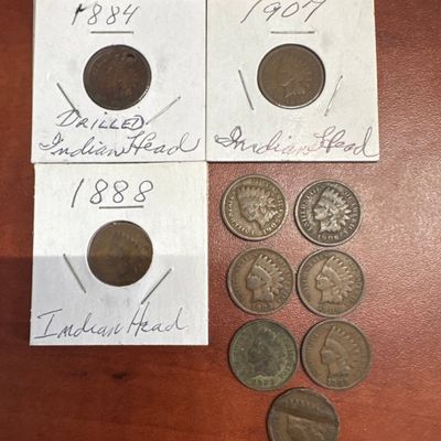 Collection of Indian Head Pennies