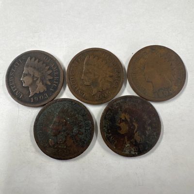Collection of Five Indian Head Pennies