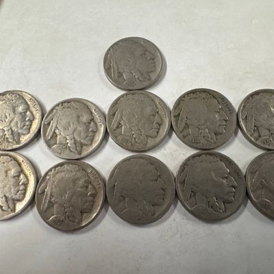 Collection of 11 Buffalo Nickel Five Cents Coins