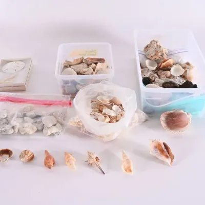 Sale Photo Thumbnail #144
