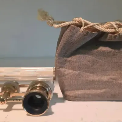 Vintage Mother of Pearl Opera Glasses With Bag