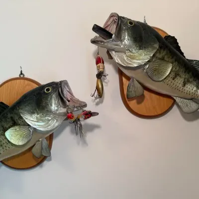 Taxidermy Wall Mounted Pair of Large Mouth Bass