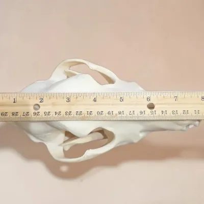 Sale Photo Thumbnail #293