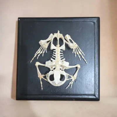 Sale Photo Thumbnail #300