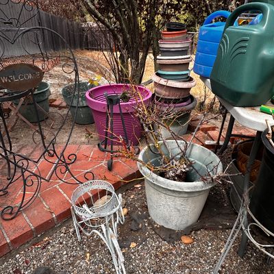 Sale Photo Thumbnail #499