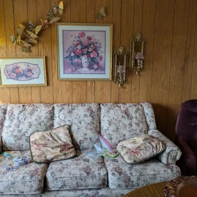 Sale Photo Thumbnail #13: Couch and wall art
