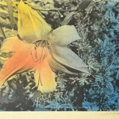 Sale Photo Thumbnail #949