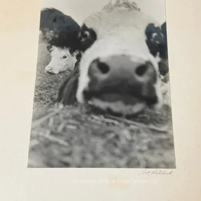 Sale Photo Thumbnail #947