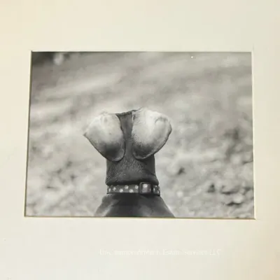 Sale Photo Thumbnail #959