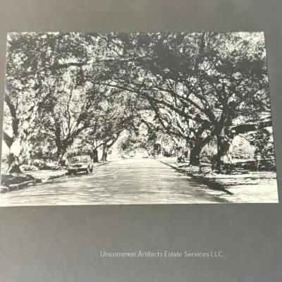 Sale Photo Thumbnail #1027