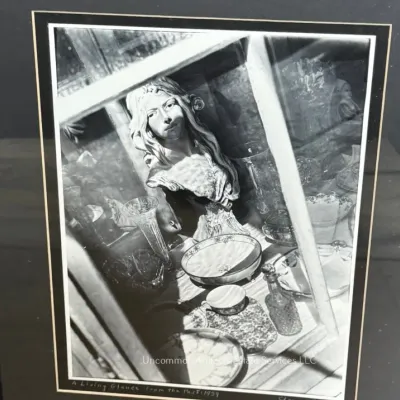 Sale Photo Thumbnail #854