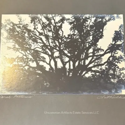 Sale Photo Thumbnail #1026