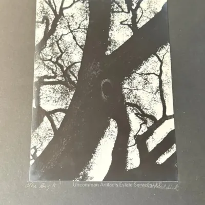 Sale Photo Thumbnail #1028