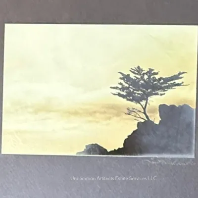 Sale Photo Thumbnail #1008