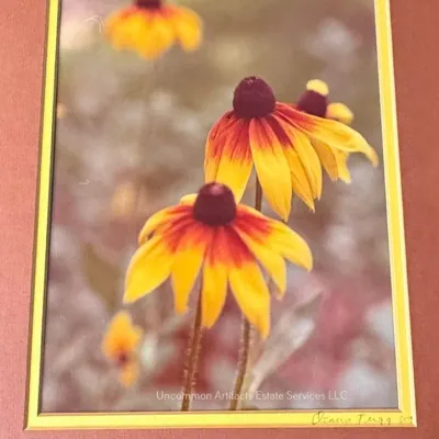 Sale Photo Thumbnail #983