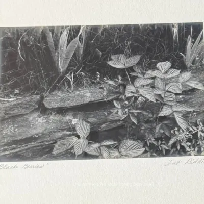 Sale Photo Thumbnail #1043