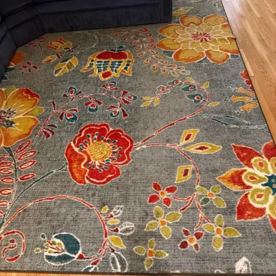 Area Rug 