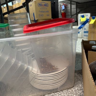 59 - Miscellaneous Food Prep and Storage Containers