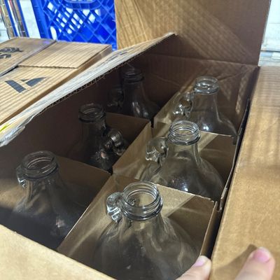178 - 6 1/2 Gallon Clear Growlers