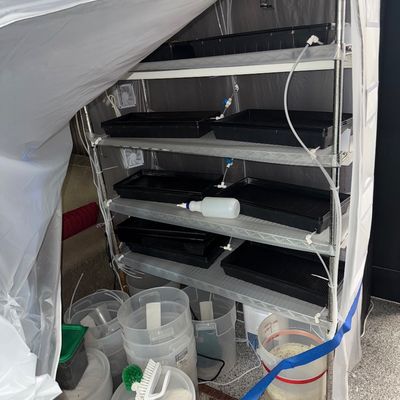 127 - Hydroponic Planting Setup