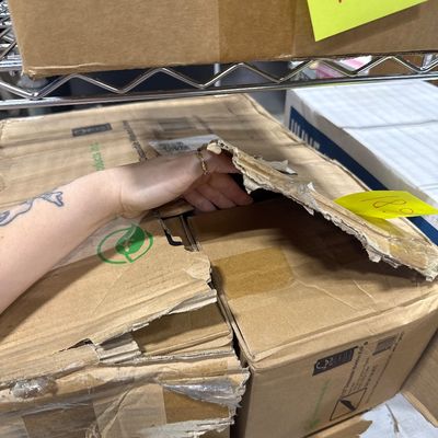 182 - Case of Compostable Wooden Knives