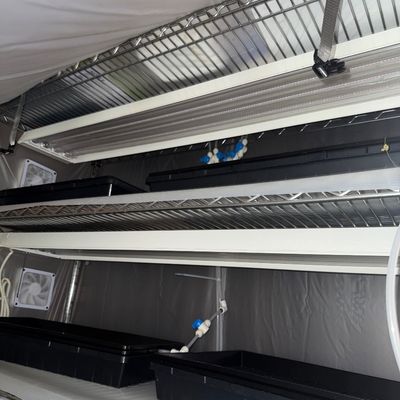 127 - Hydroponic Planting Setup