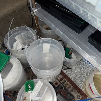 127 - Hydroponic Planting Setup