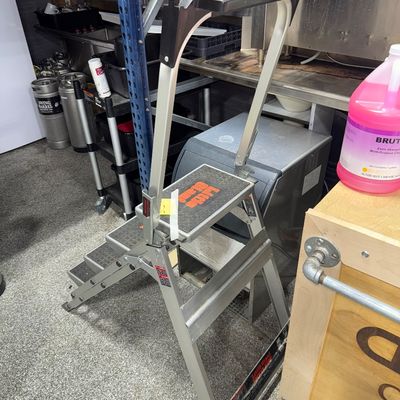 155 - Little Giant Safety Step