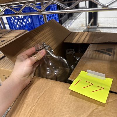 177 - 6 1/2 Gallon Clear Growlers
