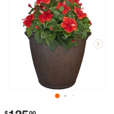 Sale Photo Thumbnail #897