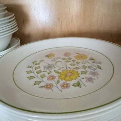 Sale Photo Thumbnail #220: Corelle Meadow Dinner Plates