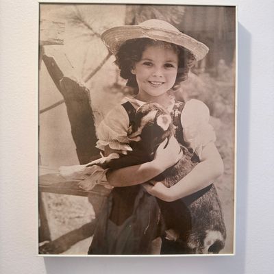 Sale Photo Thumbnail #207: Vintage Shirley Temple "Heidi" Portrait Photograph